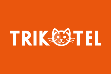Новости Трикотел: Запуск нового сайта компании TRIKOTEL